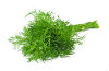 Dill