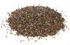 chia-seeds_thumb