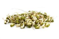 Sprouts